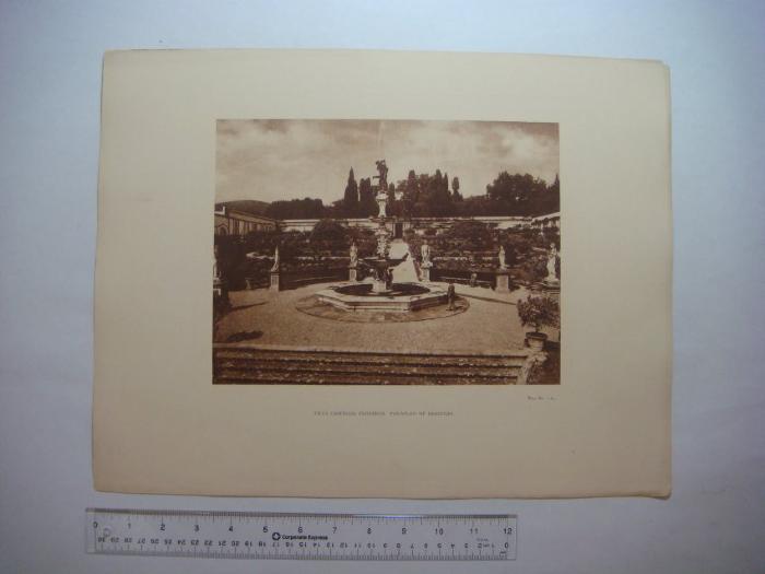 Villa Castello, Florence, Fountain of Hercules (Plate No. 119)