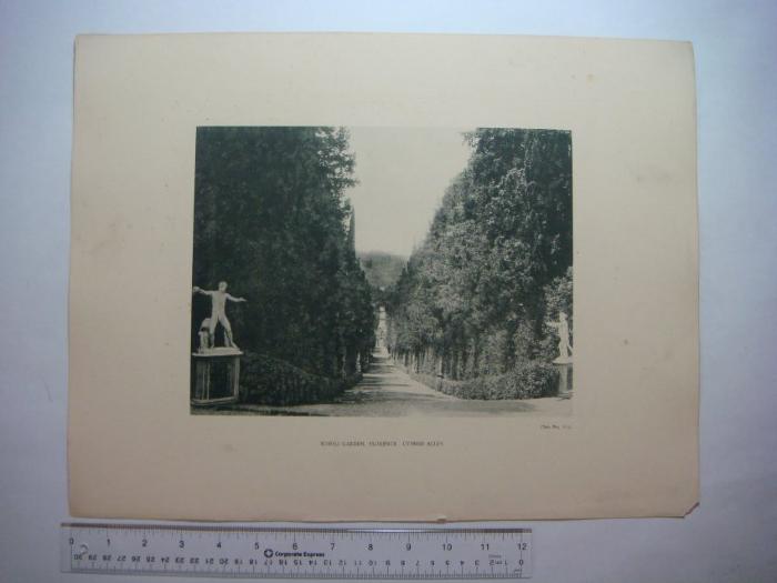 Boboli Garden, Florence, Cypress Alley (Plate No. 112)