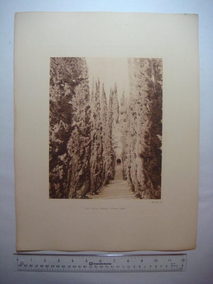 Villa Gusti, Verona, Cypress Alley  (Plate No. 92)