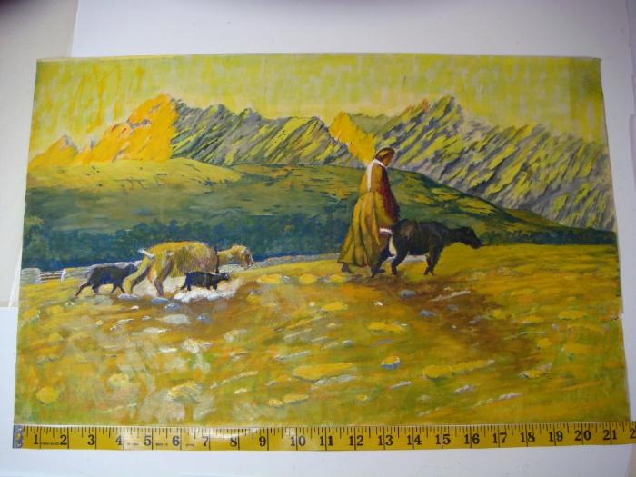 [Woman leading goats in field]