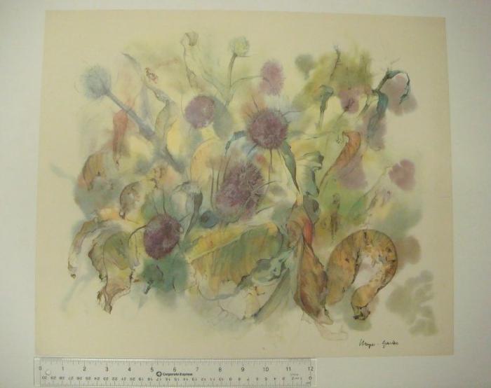 Botanical Study