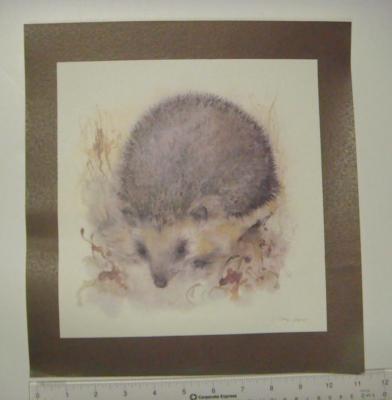 Hedgehog