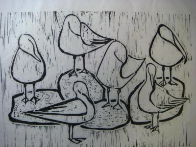 Seagulls