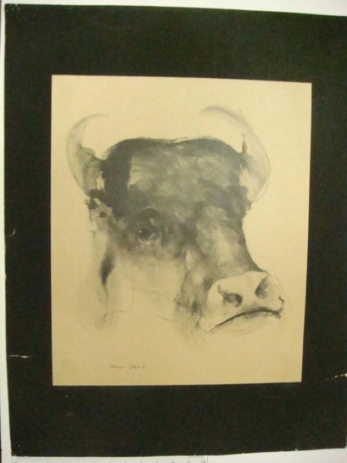 Cow Head