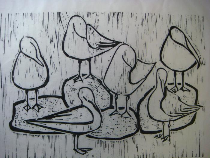 Seagulls