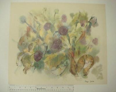 Botanical Study