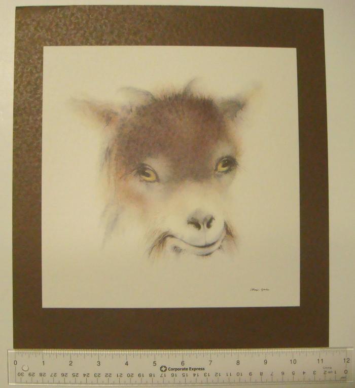 Goat Head