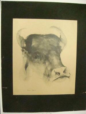 Cow Head