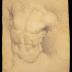 Study of Torso